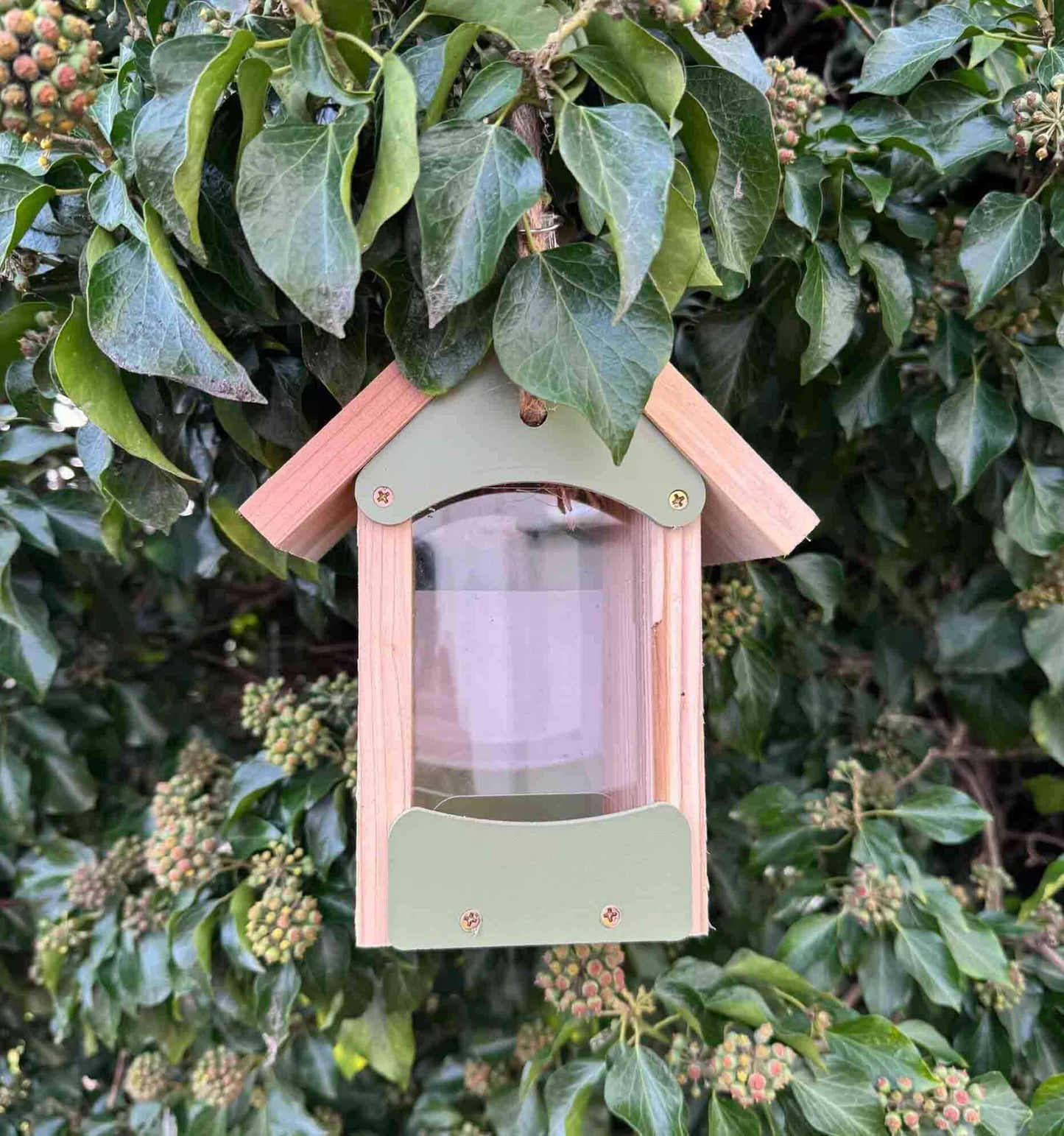 Sage green bird seed feeder made from FSC certified timber with pitched roof.