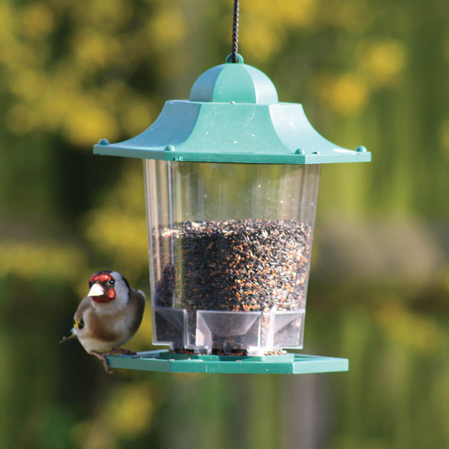 Green hanging lantern feeder filled with Goldfinch and Siskin Mix