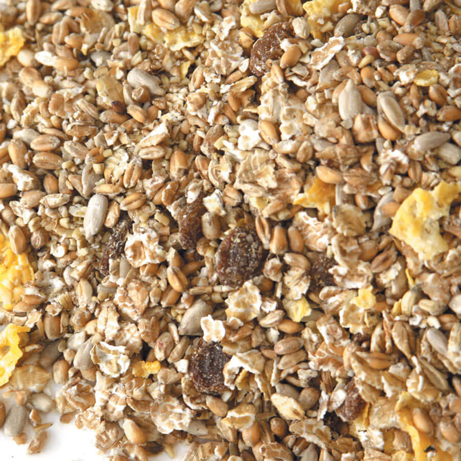 Key Ingredients: Raisins, Sunflower Hearts, Oatmeal suitable for putting on the ground or on a bird table